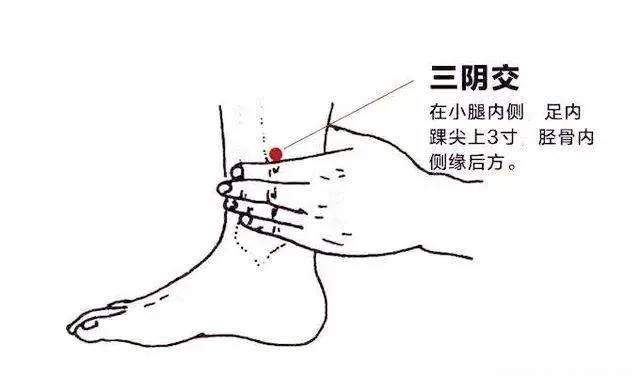 大暑 | 湿气严重，你还在补阳气？转用3种滋阴法，全年少生病