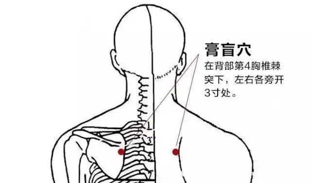 大暑 | 湿气严重，你还在补阳气？转用3种滋阴法，全年少生病